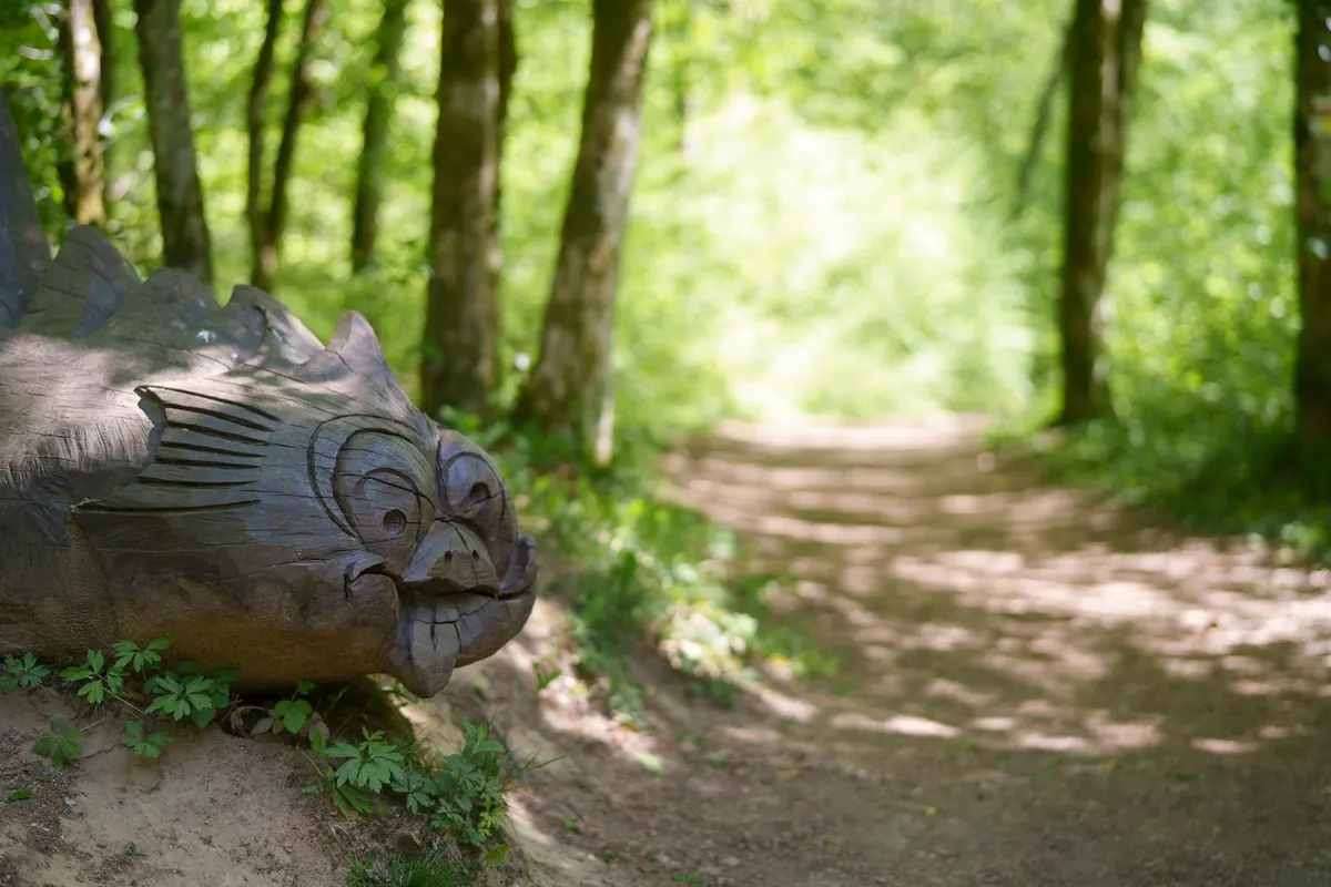 Le Sentier des Songes "entre Aspérules et Grumes"