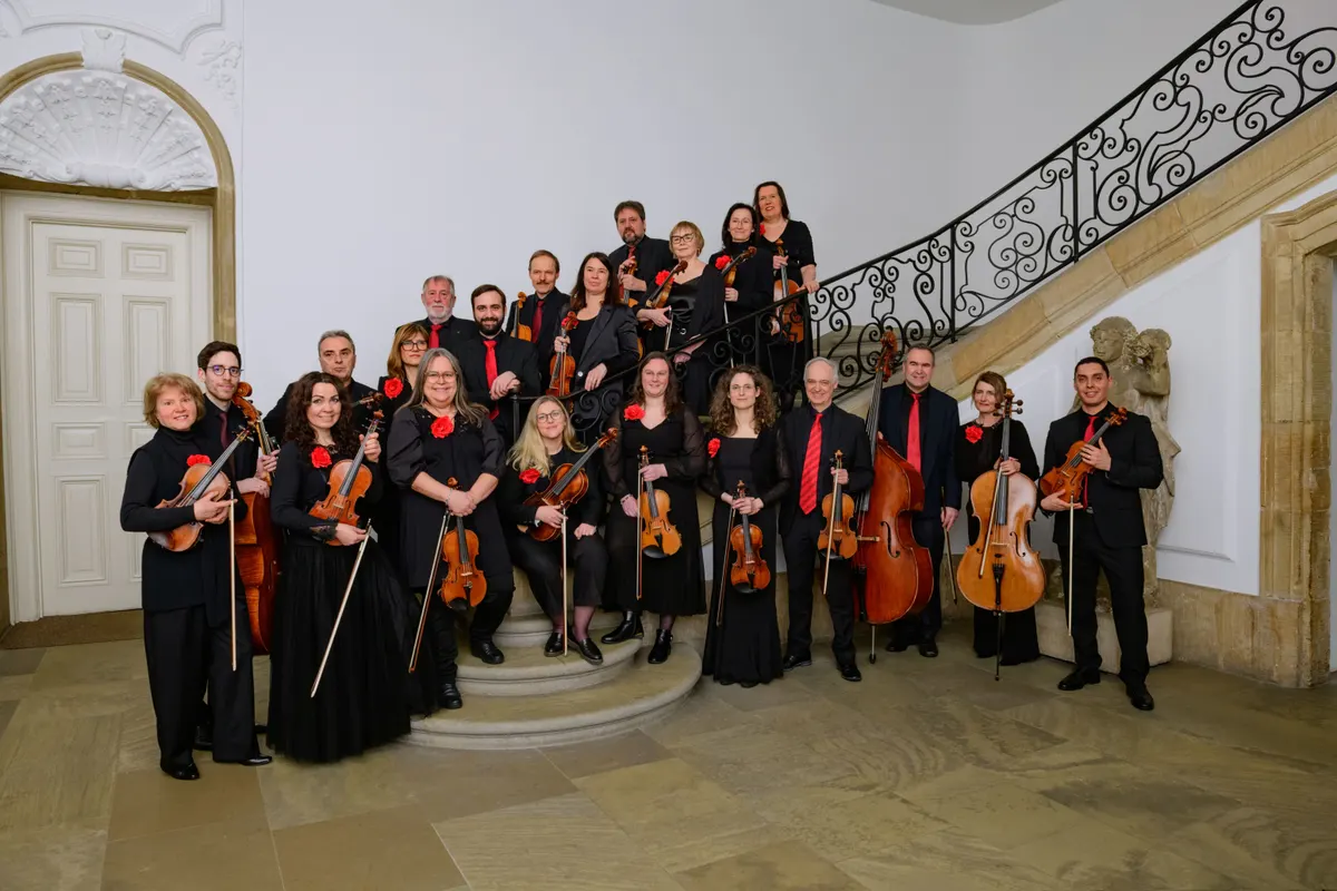 Do you see what you hear ? – Concert immersif entre nature et musique absolue