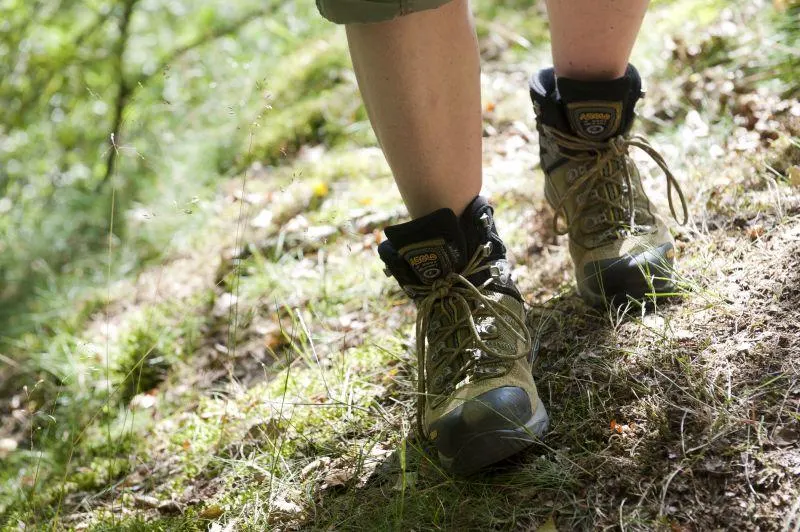Marche des Galopins : 9 km en groupe depuis la Place Abbé Goffinet